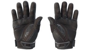 Nocts image