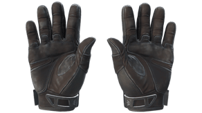 Nocts image