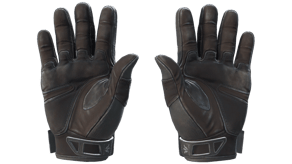 Nocts image