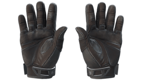 Nocts image