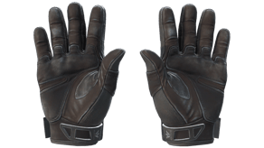Nocts image