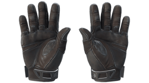 Nocts image