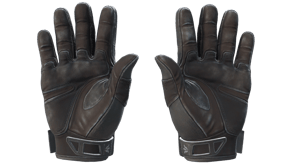 Nocts image