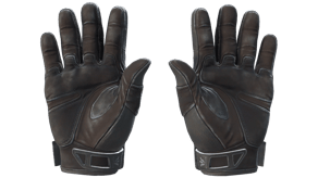 Nocts image