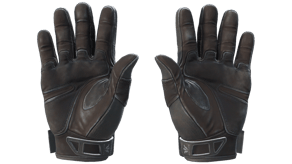 Nocts image