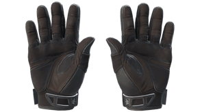 Nocts image