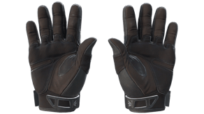 Nocts image