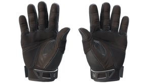 Nocts image