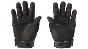 Nocts image