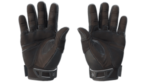 Nocts image