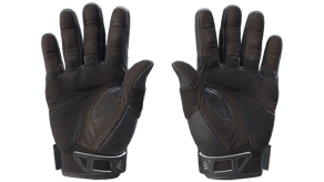 Nocts image