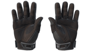 Nocts image