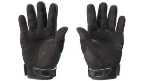 Nocts image
