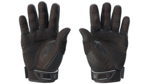 Nocts image