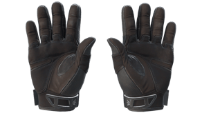 Nocts image