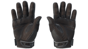 Nocts image
