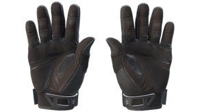 Nocts image