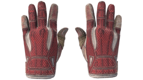 Slingshot image