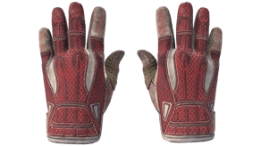 Slingshot image