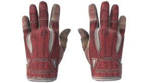 Slingshot image