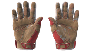 Slingshot image