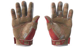 Slingshot image
