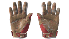 Slingshot image