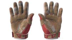 Slingshot image