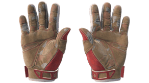 Slingshot image