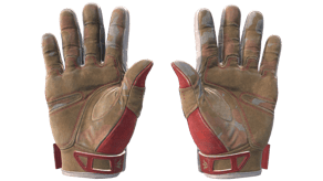 Slingshot image