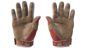 Slingshot image