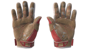 Slingshot image
