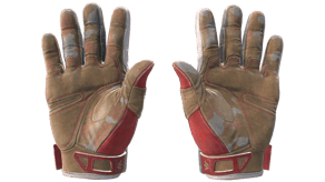 Slingshot image