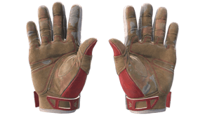 Slingshot image