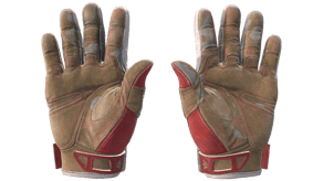 Slingshot image