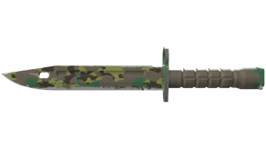 Boreal Forest image