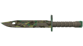 Boreal Forest image