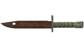 Rust Coat image