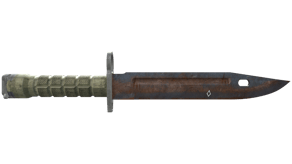 Rust Coat image