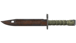 Rust Coat image
