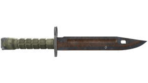 Rust Coat image