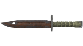 Rust Coat image