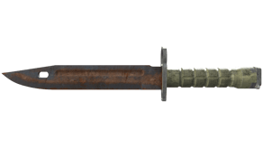 Rust Coat image
