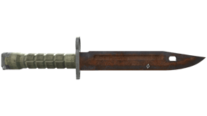 Rust Coat image