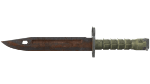 Rust Coat image