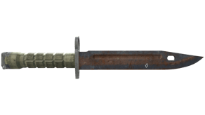 Rust Coat image