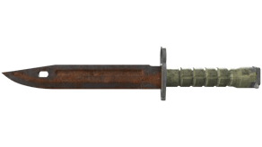 Rust Coat image