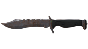Rust Coat image