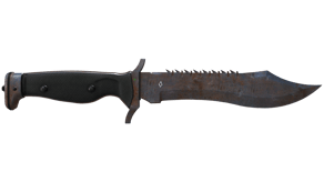 Rust Coat image