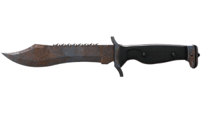 Rust Coat image